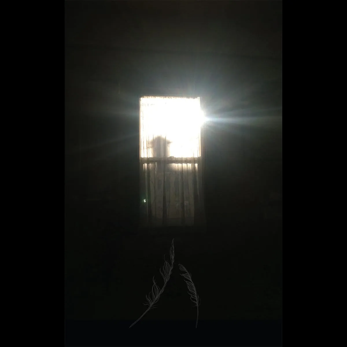 Americas - Hard Data