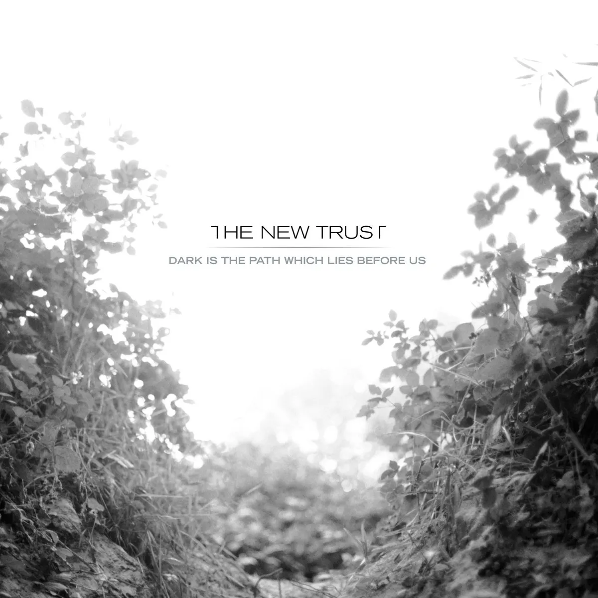 The New Trust - Dark is the Path Which Lies Before Us